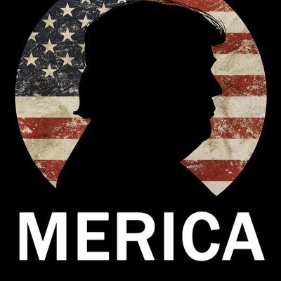 Patriot. God fearing… Fraud Prevention expert. Certified crypto forensics