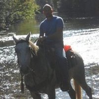CowboyTechie πΊπΈ (@tlbray) 's Twitter Profile Photo CowboyTechie πΊπΈ (@tlbray) 's Twitter Profile Photo