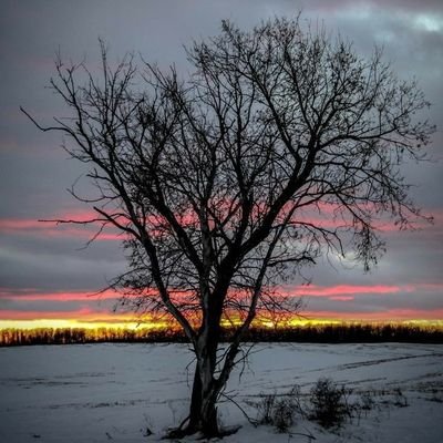 F119118270's profile picture. Lost.