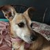 Patricia Phillips🐶🌏☮🎶🎭 (@patti_phillipss) Twitter profile photo Patricia Phillips🐶🌏☮🎶🎭 (@patti_phillipss) Twitter profile photo