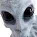 Fredy3869 (@fredo3869) Twitter profile photo Fredy3869 (@fredo3869) Twitter profile photo