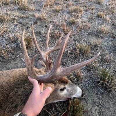 trudell1991's profile picture. 