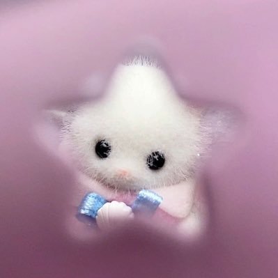 dduddubaba's profile picture. 행덕이추구미🍠🍀 / ㅁㅍ,ㅁㄲ 보이면 즉시 블락 / team 플레이브를 영원히 사랑해 응원해💙💜🩷❤️🖤