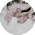 عبدالعزيز بدر (@3zbadr) Twitter profile photo عبدالعزيز بدر (@3zbadr) Twitter profile photo