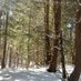Woodsman. (@justawoodsman) Twitter profile photo Woodsman. (@justawoodsman) Twitter profile photo