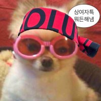 얘들아(0명) (@bass_sltn) 's Twitter Profile Photo