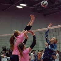 Layla Houpe (@houpelayla) 's Twitter Profile