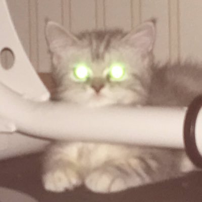 haveazzday's profile picture. ou!p