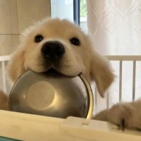 Zoeyttt (@zeoytt) 's Twitter Profile Photo Zoeyttt (@zeoytt) 's Twitter Profile Photo