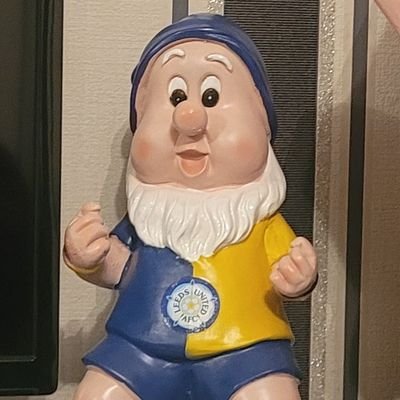 Steve_ALAW's profile picture. Chairperson of Leeds United Disabled Orgaisation
Lifelong LUFC supporter, advocate of inclusivity for all.