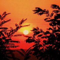 Lin73 (@linrob1219) 's Twitter Profile