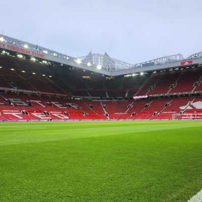 mogullibrary's profile picture. 