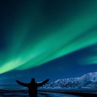 Eyes On The Whale (MMXXI) (✸,✸) (@mcantuncc) 's Twitter Profile