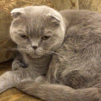 AsumanAlp19 (@aalp1973659) 's Twitter Profile Photo