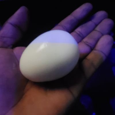 DanielDomi7022's profile picture. 