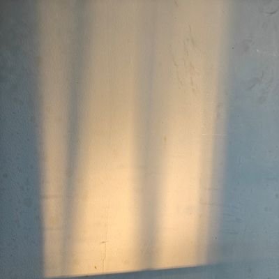 自由意志的沉沦