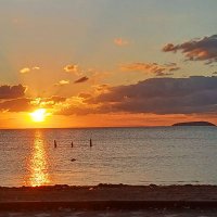 elif_elfida10 (@elif_elfida10) 's Twitter Profile