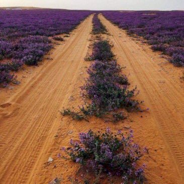 ALO_309's profile picture. 