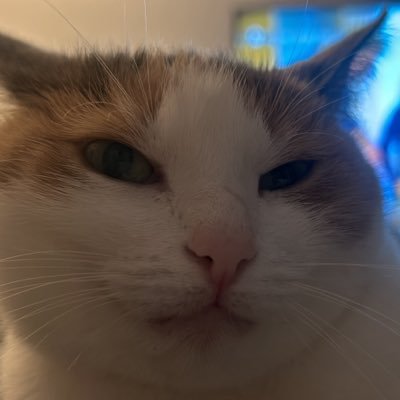 Charlottemenou3's profile picture. Gestionnaire de Copropriété 🏢