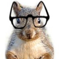 professor fish (@frogwithablogg) 's Twitter Profile Photo professor fish (@frogwithablogg) 's Twitter Profile Photo