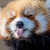 Why Animals Are Awesome (@bestanimalsclip) Twitter profile photo Why Animals Are Awesome (@bestanimalsclip) Twitter profile photo