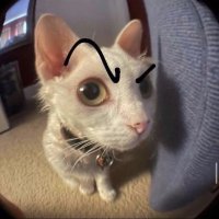 Sigma (@sigmaserban) 's Twitter Profile Photo Sigma (@sigmaserban) 's Twitter Profile Photo