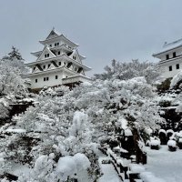 鷹野モンデE (@walkonnever) 's Twitter Profile