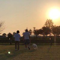 マサヤン gracias amigos (@masayan_akairo) 's Twitter Profile Photo マサヤン gracias amigos (@masayan_akairo) 's Twitter Profile Photo