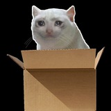MAYBE (@sadcatinbox) 's Twitter Profile