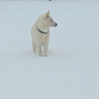 {{{Fierce Joy}}} (@ericrohrs) 's Twitter Profile