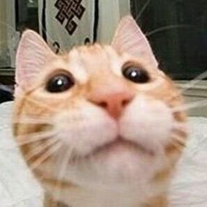 asimovduck72's profile picture. 