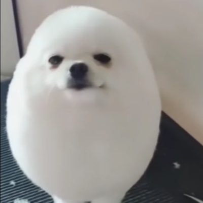 JapangangHor's profile picture. just a egg.