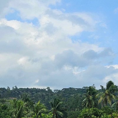 endrikk87's profile picture. 