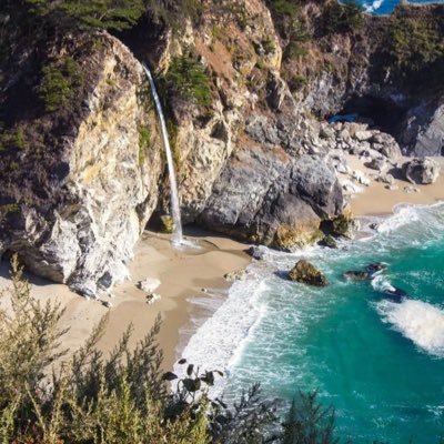 LoBoRose2025's profile picture. 