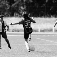 martimribeiro (@martimribeiro23) 's Twitter Profile