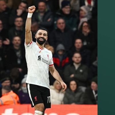 ahmedNyrt's profile picture. 