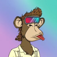 cryptolefty (@lefty_sol) 's Twitter Profile