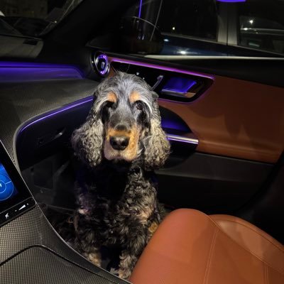 MoumnehSaid's profile picture. 