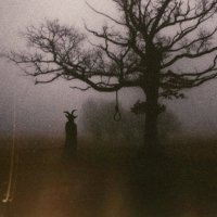 don m (@existingatm) 's Twitter Profile