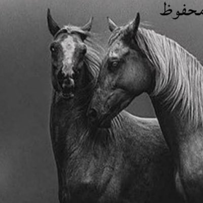 harley_428's profile picture. 