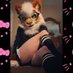 Jace (@jacethekitty) Twitter profile photo Jace (@jacethekitty) Twitter profile photo