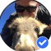 Jeffery Dean Morgan (@jeffe79589) Twitter profile photo Jeffery Dean Morgan (@jeffe79589) Twitter profile photo