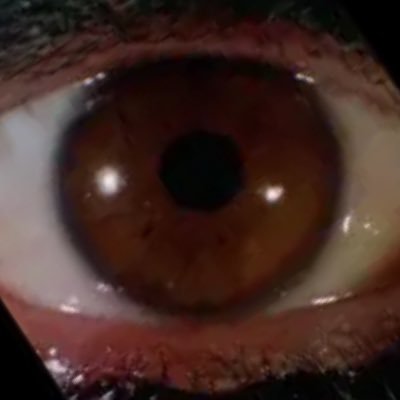 StillInsdieDaH's profile picture. 