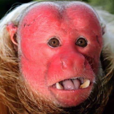 jotapeidis's profile picture. Bad ideas are fought with good ideas