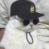 ® (@_matr3ro) 's Twitter Profile