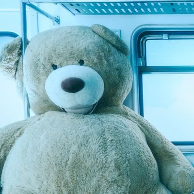 튤립さんのプロフィール画像
