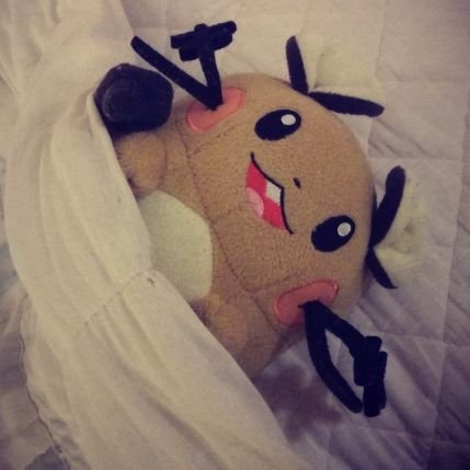 tekitooooooo654's profile picture. にとりが好きな崖っぷち受験生
遊戯王/東方/ポケモンetc