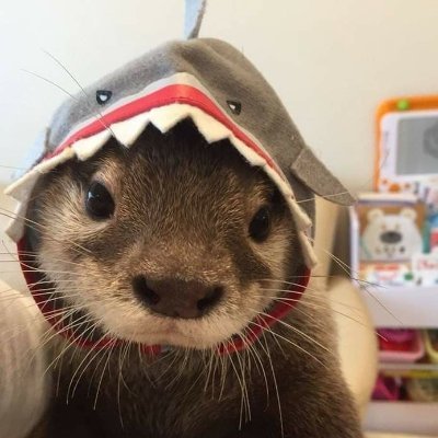 chuyaismo's profile picture. | gerontologia UFSCAR