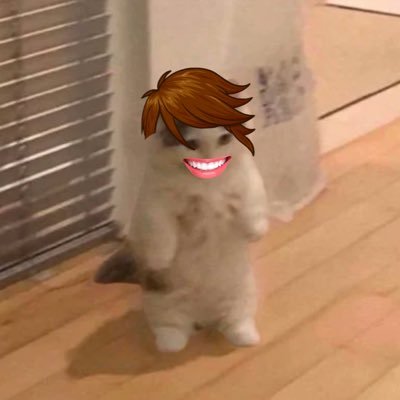 Believe0x0's profile picture. 1000x