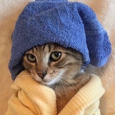 仮想通貨2017年参入XRP数十万枚保有。 勝率高めテクニカルチャート考察してます。サロン作ったので勝ちたい方は是非⇨ https://t.co/I7ZsJ7rOum 『先に動くのはチャート』が持論